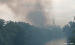 Požar na Banjalučkom polju: Vatrogasci na terenu VIDEO