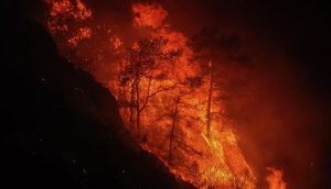 Požar bjesni na Lezbosu i na zapadu Peloponeza
