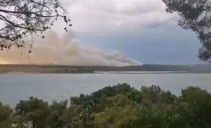Veliki požar u Istri, više od 50 vatrogasaca se bori sa vatrom VIDEO