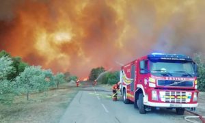 Požar u Sloveniji gasi skoro 800 vatrogasaca: Oglasile se sirene za opštu opasnost