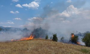 Trebinjski vatrogasci ljetos imali pune ruke posla: Gasili više od 50 šumskih požara