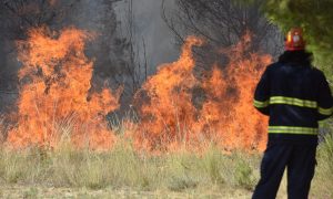 Vatrogasci uporno ponavljaju: Građani da ne pale vatru na otvorenom