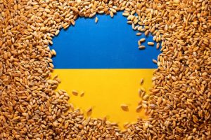 Prema postignutom dogovoru: Ukrajinski brodovi sa žitom isplovljavaju iz luka