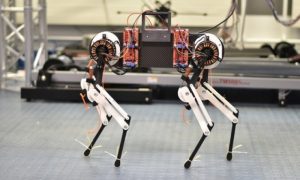 Novo dostignuće na polju robotike: Pas-robot naučio da hoda za pola sata VIDEO