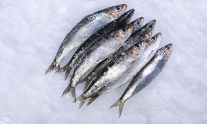 Ukusne i zdrave: Evo zašto trebamo da jedemo sardine