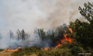 Širi se požar u Sloveniji: Vatra se približila naseljima, naređena evakuacija VIDEO