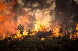 Visoka temperatura i vjetar glavni krivci: Požar na Vrbanjskim brdima i dalje aktivan