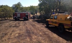 Vatrogasci spasili kuće u trebinjskom selu: Sumnja se da je požar namjerno izazvan FOTO