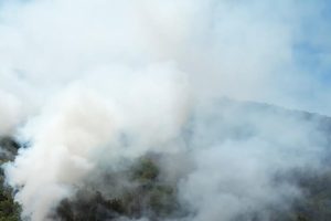 Situacija na terenu nije povoljna: Proširio se požar u Herceg Novom