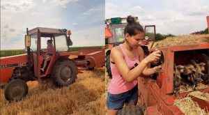 Dragana (17) raspuste provodi u selu i na njivi: Vozi traktor, pomaže roditeljima i komšijama