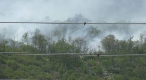Gori treći dan: Požar iznad Trebinja pravi ekološku katastrofu