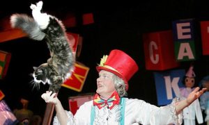 Zna da izvede 32 gimnastičke vježbe: Mačka zvijezda cirkusa FOTO