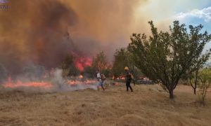 Požar u Hercegovini ne jenjava: Na planini kod Neuma još gori