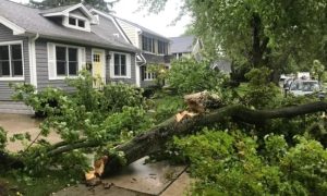 Oluja čupala drveće i obarala stubove: Djevojčica poginula od posljedica strujnog udara