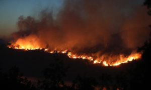 Znatno bolja situacija sa požarima u Neumu: Kanaderi potrebni i dalje, mještani nisu ugroženi