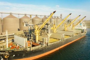 Zelenski o izvozu žitarica: Potrebna zaštita brodova, u pitanju životi desetina miliona ljudi