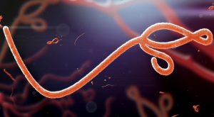 Kancelarija SZO za Afriku: U Ugandi proglašena epidemija ebole