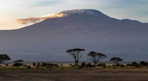 Najviša planina u Africi: Instalirana internet konekcija na Kilimandžaro
