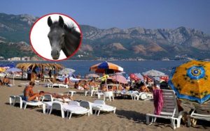 Nastao veći hematom: Konj ujeo Ruskinju na crnogorskom primorju