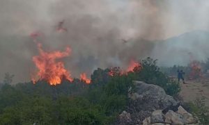 Požar u Neumu stavljen pod kontrolu: Samo da ne bude jakog vjetra