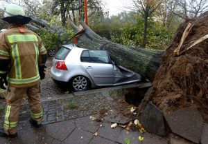 Nevrijeme u Austriji: Oboreno drveće usmrtilo pet osoba, među kojima i dvoje djece