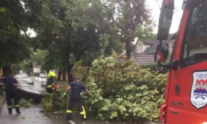 Oboreno nekoliko stabala: Nadležne službe saniraju posljedice olujnog nevremena u Banjaluci