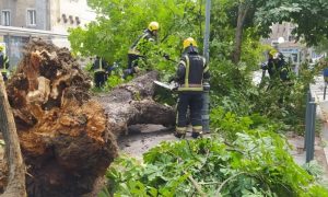 Intervenisali vatrogasci: Drvo palo na ženu u Zagrebu