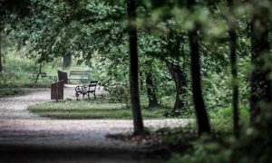 Užas u parku: Četvorica muškaraca silovala i zlostavljala djevojčicu