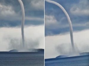 Ogromna pijavica na Halkidikiju preplašila turiste VIDEO