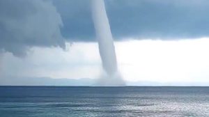 Turisti na plaži snimili prizor: Velika pijavica blizu Halkidikija VIDEO