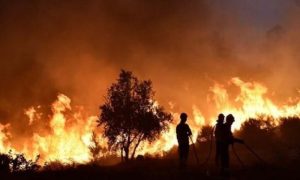 Portugal u problemima: Oko 2.000 vatrogasaca bori sa nekoliko požara