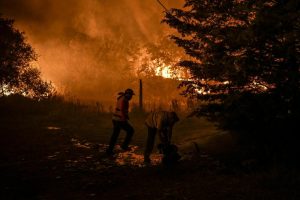 Evakuisano više stotina ljudi: Izbio veliki šumski požar, vatrogasci na terenu