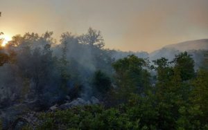 U posljednjih mjesec dana 11 puta zapalilo vatru: Poznato ko je izazvao požar u selu Duži
