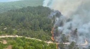 Vatrogasci i dalje dežuraju: Stabilno stanje na požarištima
