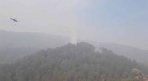 Vatra gorjela u rejonu planine Bijela Gora: Požar kod Trebinja ugašen