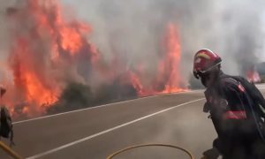Opustošio površinu od 6.500 hektara: Evakuisano 1.200 ljudi zbog požara u Valensiji VIDEO