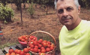 Udarili nakon paradajza: Radojičiću hakovani nalozi na mrežama