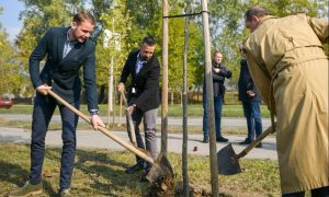 Priznanje nakon dokaza: Banjaluka prepisala projekat “Ko gradi – mora i da sadi”