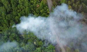 Lokalizovan požar u Vrbanji: I Trebinje treba pomoć helikopterskog servisa