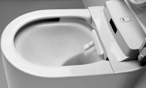 Bijeli luk možemo koristiti i u druge svrhe: Ubacite ga u WC šolju i ostavite da prenoći