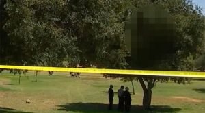 Incident u Los Anđelesu: Zapaljeno tijelo pronađeno kako visi na drvetu