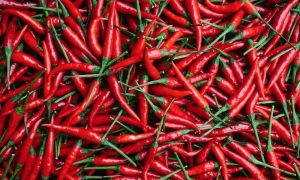 Za ljubitelje pikantnog povrća: Savjeti za uzgajanje ljutih papričica