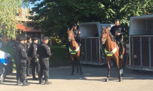 Građani i djeca reaguju veoma pozitivno: Ulicama Kozarske Dubice patrolira konjica Žandarmerije