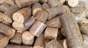 Vlada usvojila Odluku: Srbija dozvolila izvoz drvnih briketa