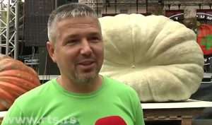 Džinovska bundeva od 716 kilograma, postavljen novi rekord „Dana ludaje“