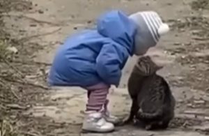 Trenutak koji vrijedi “sačuvati od zaborava”: Ljubav mačke i malo djeteta kao iz filma VIDEO