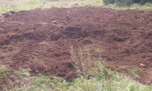 Zakazana identifikacija: U okolini Livna izvršena ekshumacija nestalog lica sa područja Banjaluke