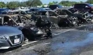 Navijači ostavili upaljen roštilj i otišli na utakmicu: Izgorjelo 11 automobila