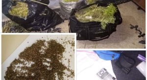 Akcija “Plantaža 2022”: U kući pronađeno 19 kila marihuane, policija traga za vlasnikom
