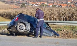 Ujela ga osa dok je vozio: Odjednom sletio s puta i udario u banderu